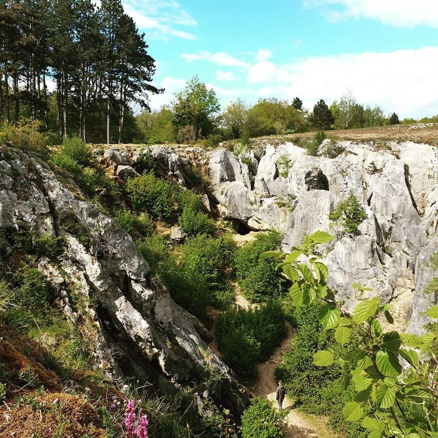 Verblijfpark Ardinam Olloy-sur-Viroin Екстериор снимка